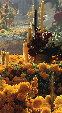 Zapotec Tours: Day of the Dead packages