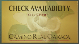 check availability at the Camino Real Oaxaca
