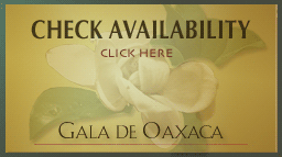 Check availability at tthe Hotel Gala de Oaxaca