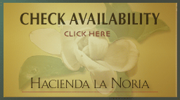 Check availability at the Hacienda la Noria