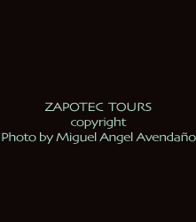 Oaxaca Tours offers special Day of the Dead Packages