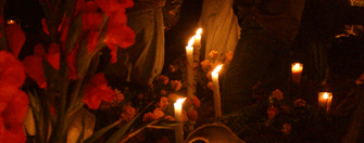 Zapotec Tours � copyright