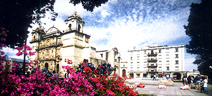 Marques del Valle is right on the zocalo