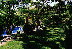 Garden and pathways at the Victoria, Oaxaca
